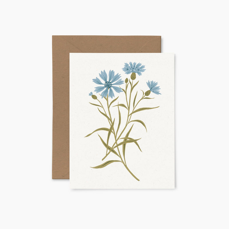 Greeting card with blue flowers and brown envelope on white background