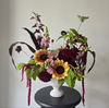 Seasonal Statement Compote