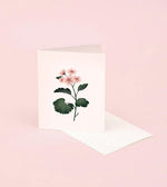 Scented Cards by Clap Clap Design