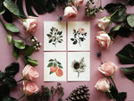 Scented Cards by Clap Clap Design